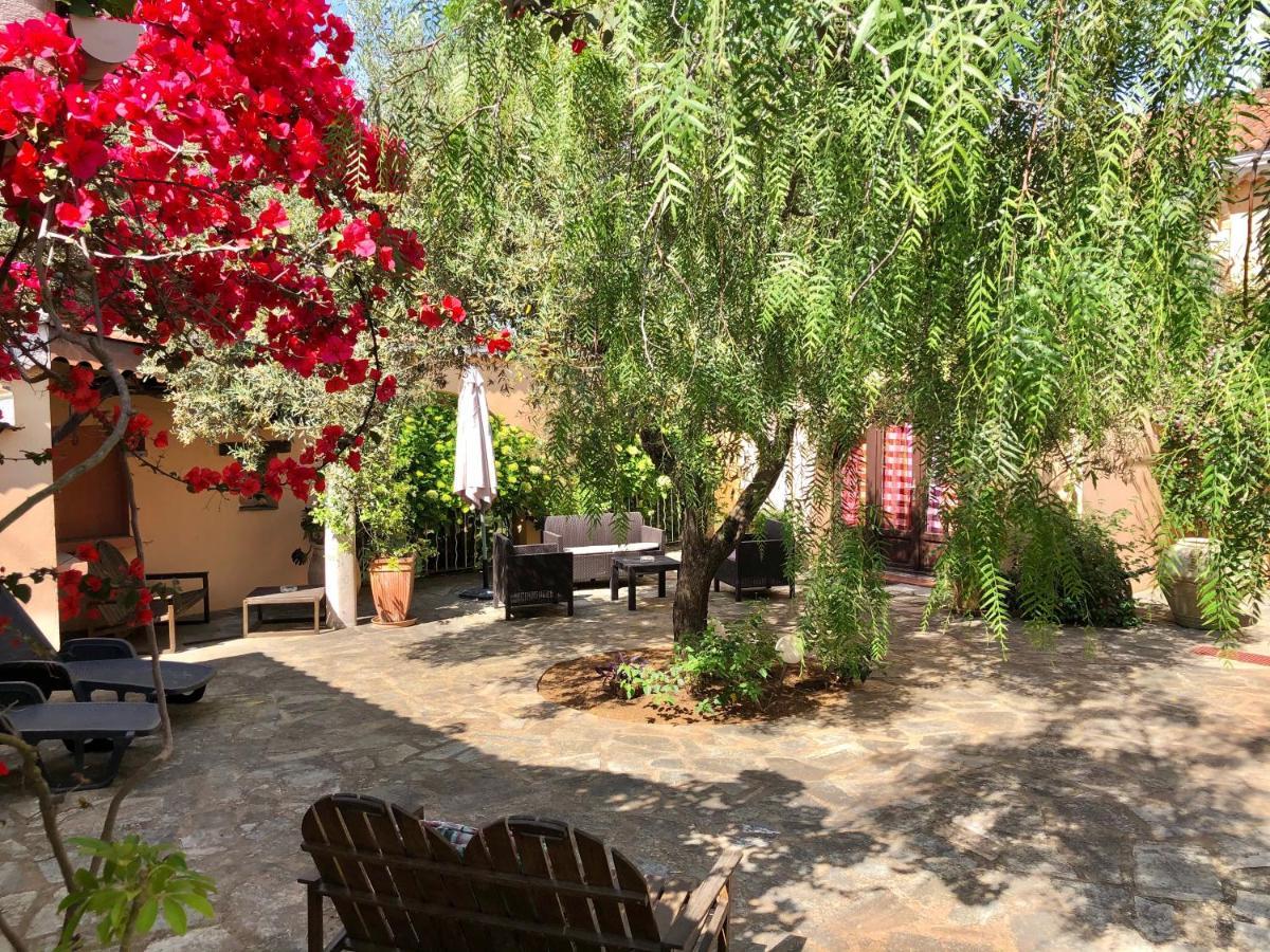 Chambres D'Hotes Le Clos Des Oliviers Sorbo-Ocagnano Exterior foto