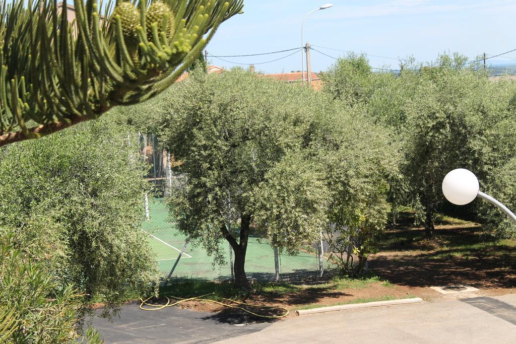 Chambres D'Hotes Le Clos Des Oliviers Sorbo-Ocagnano Exterior foto