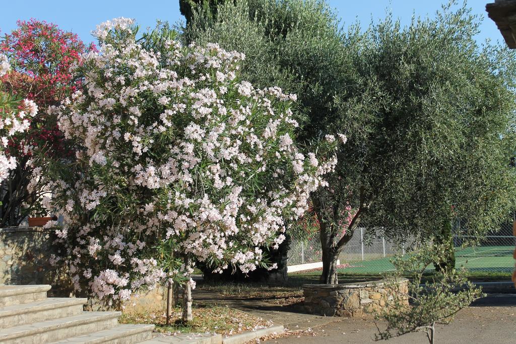 Chambres D'Hotes Le Clos Des Oliviers Sorbo-Ocagnano Exterior foto