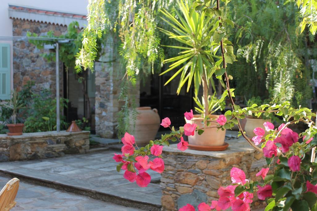 Chambres D'Hotes Le Clos Des Oliviers Sorbo-Ocagnano Exterior foto