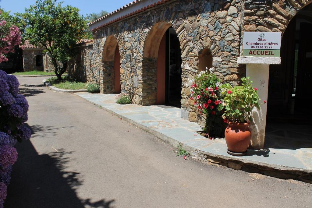 Chambres D'Hotes Le Clos Des Oliviers Sorbo-Ocagnano Exterior foto